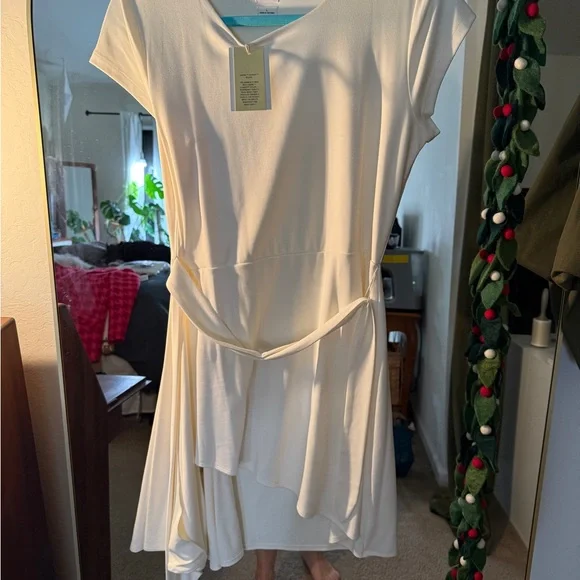 Elegant Cream Dress - Picture 9 of 11